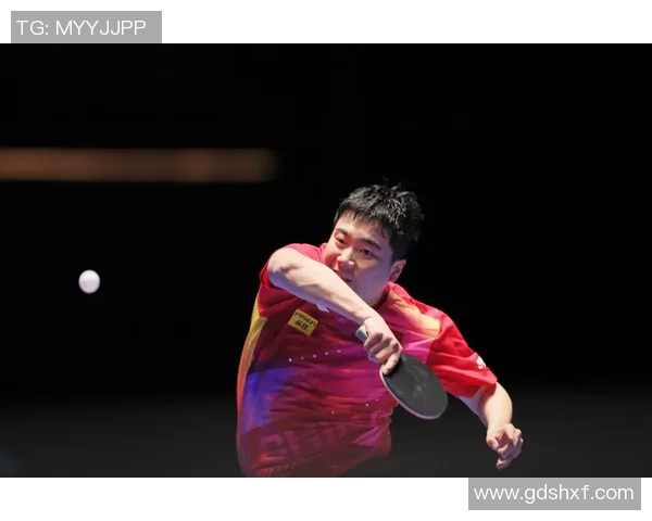 杭州乒乓球队逆袭之旅联合会杯特别报道展现拼搏精神与团队力量